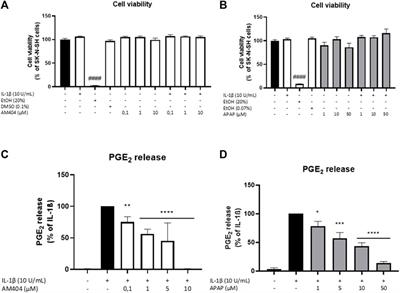 Anti-Inflammatory and Anti-Oxidative Effects of AM404 in IL-1β-Stimulated SK-N-SH Neuroblastoma Cells